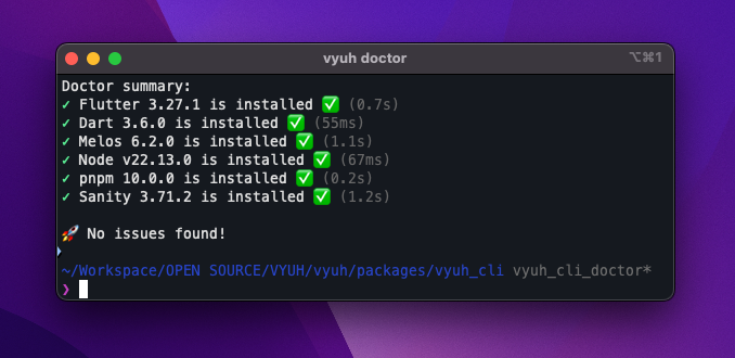 Vyuh CLI doctor command output